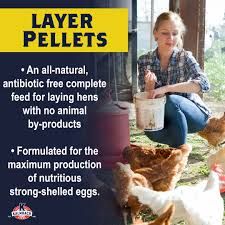 Kalmbach Feeds All Natural 17% Protein Layer Pellets Chicken Feed, 50-lb bag