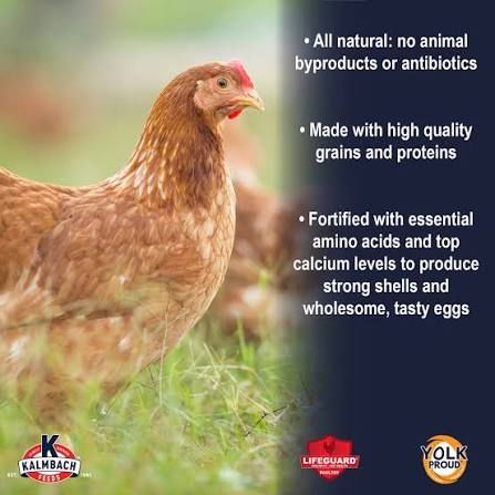 Kalmbach Feeds All Natural 17% Protein Layer Pellets Chicken Feed, 50-lb bag