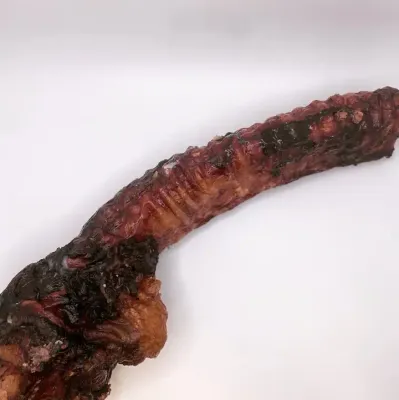 Beef Trachea, All Natural Dog &amp; Cat Treat