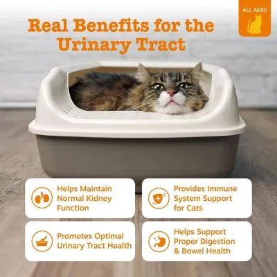 Zesty Paws Urinary Tract Health Chicken Mousse Cat 3 oz