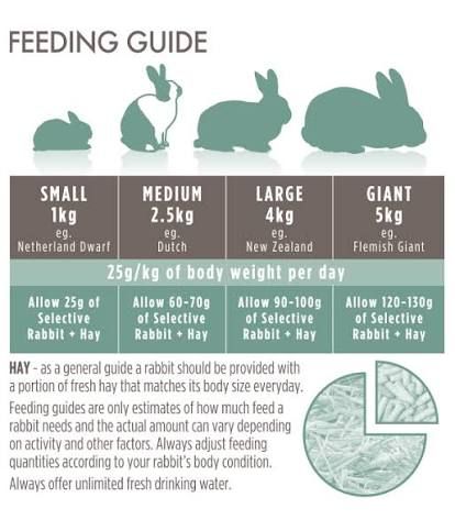 Science Selective Grain Free Rabbit Dry Food