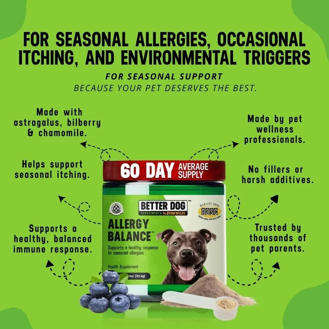 Better Dog Allergy Balance, 4 oz