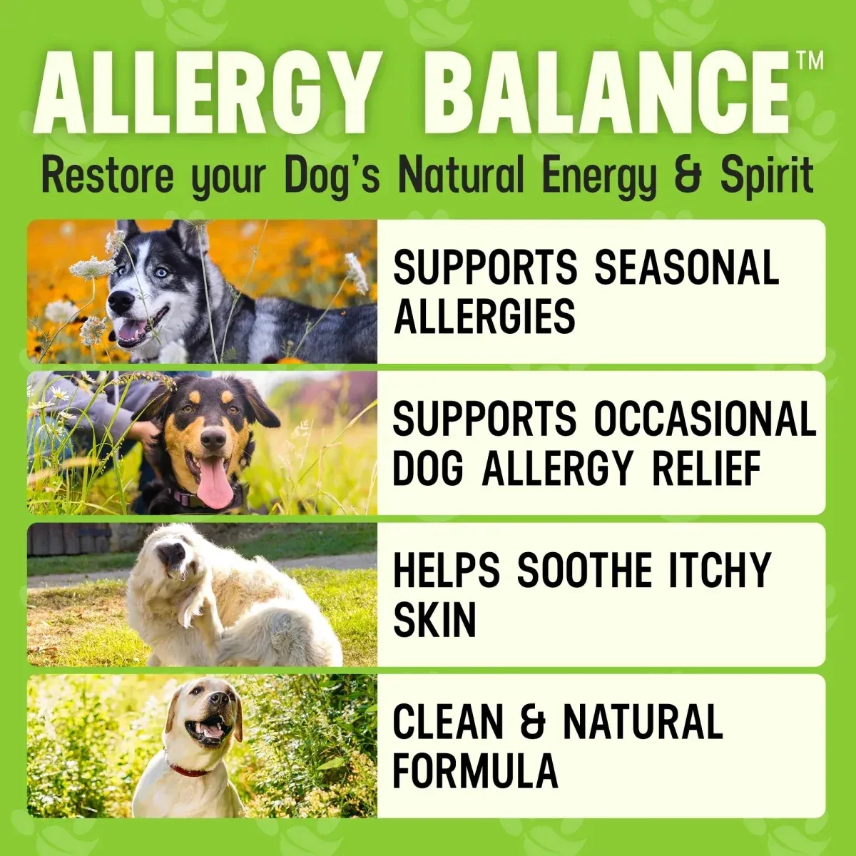 Better Dog Allergy Balance, 4 oz