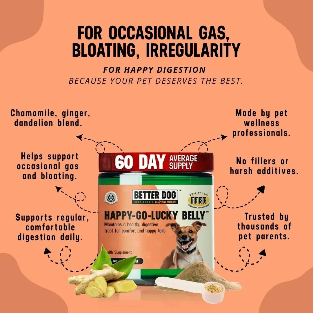 Better Dog Happy-Go-Lucky Belly, 4 oz