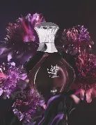 TURATHI PURPLE