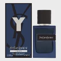 YSL Y Intense