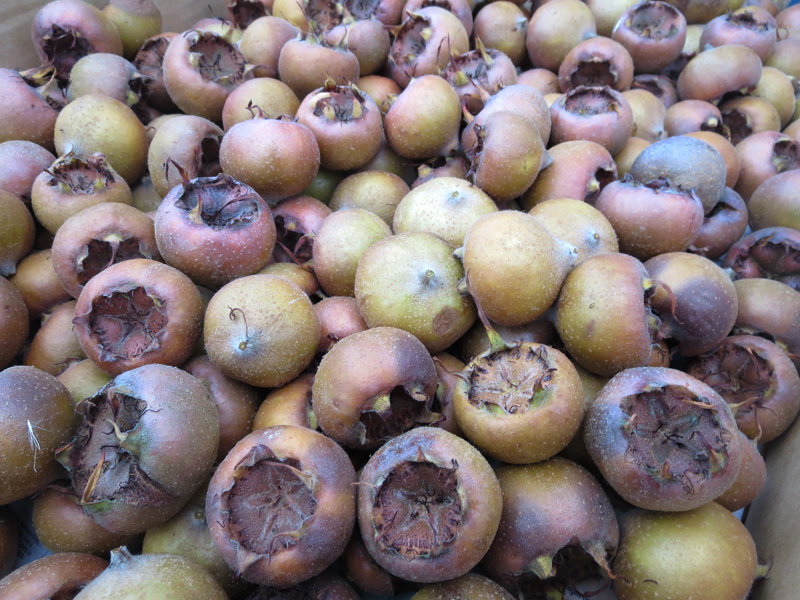 Medlar Jelly