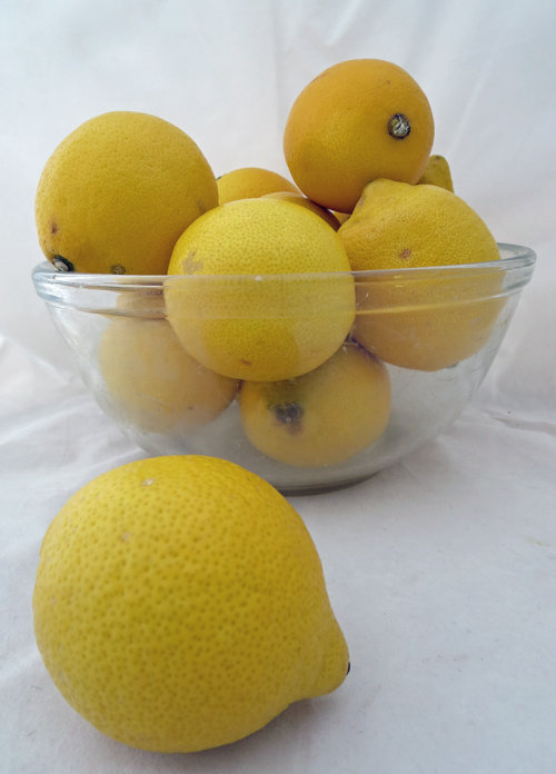 Lemon &amp; Quince Marmalade
