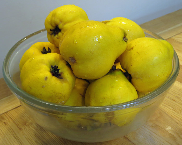Quince Jelly