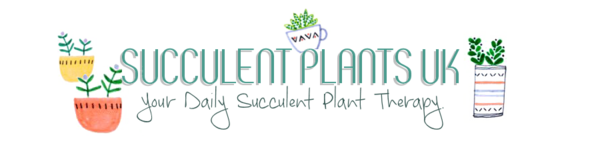 Succulent Plants UK Online Store