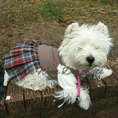 westie clothes