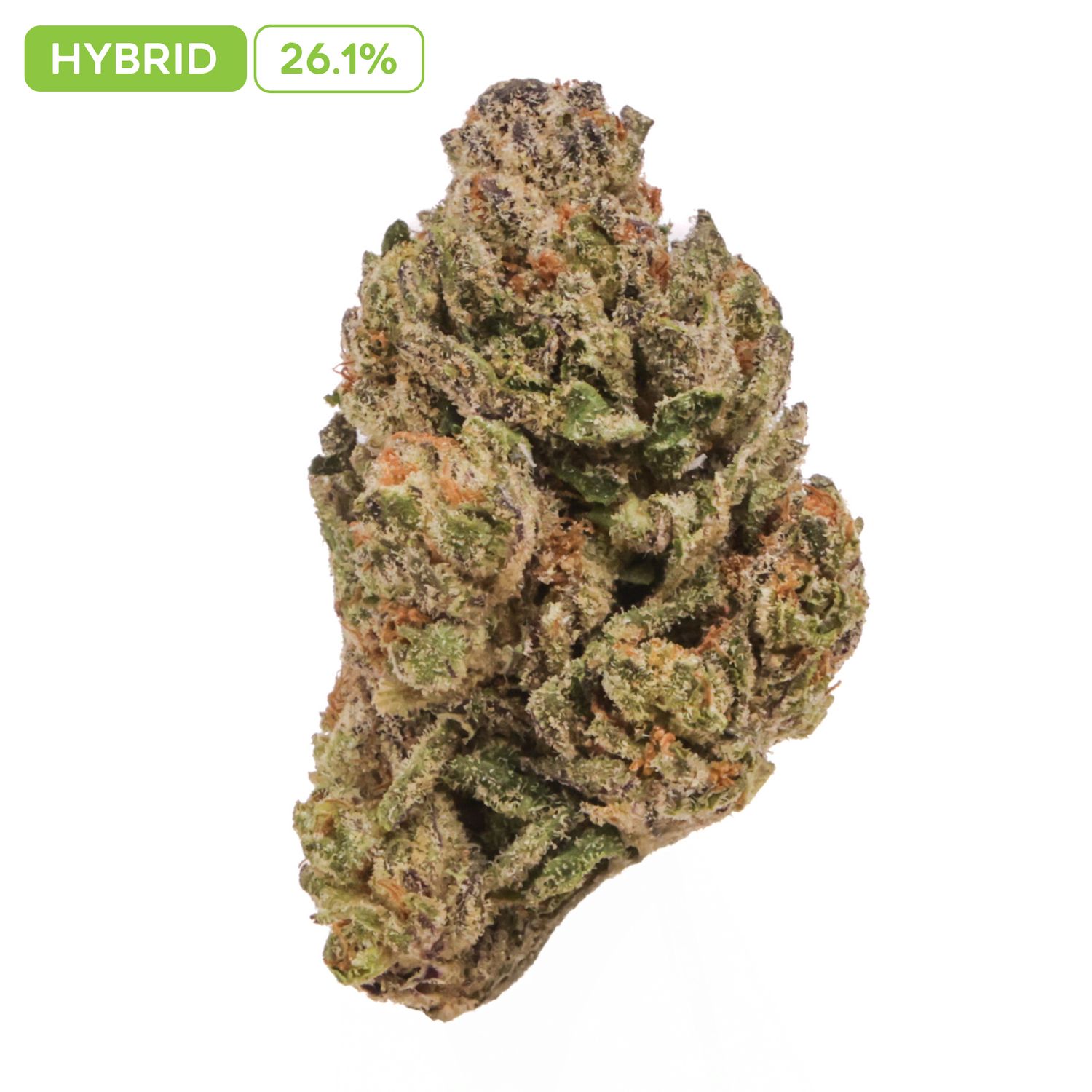 Best Kept Secret  Hybrid 31.87%