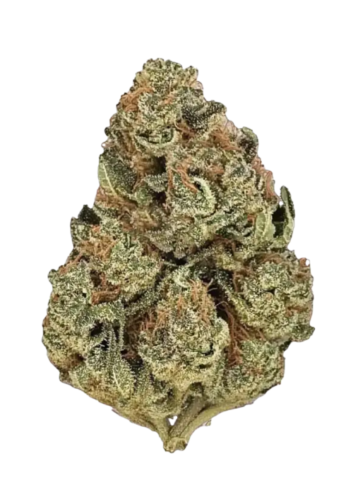 Green Crack - Sativa 31.7%