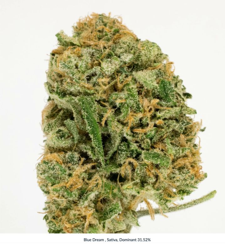 Blue Dream , Sativa, Dominant 31.52% 14g for $75