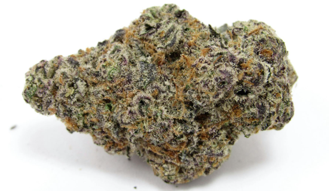 Warhead - Sativa, Dominate 33.01%