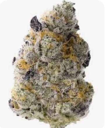Iced Sangria, Hybrid 31%