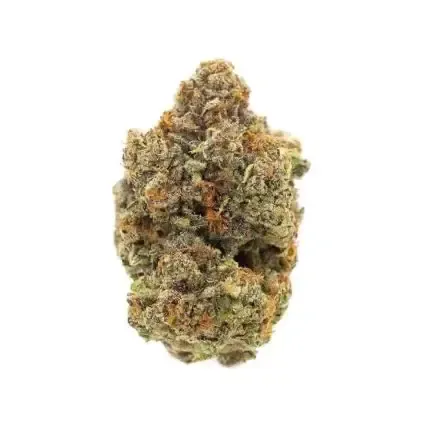 Snickerdoodle, Hybrid 31%