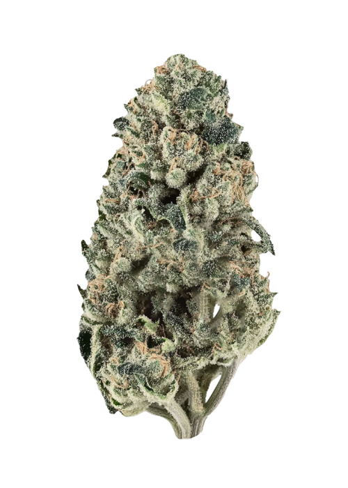 Bubble Gum Horchata Hybrid 28.78%