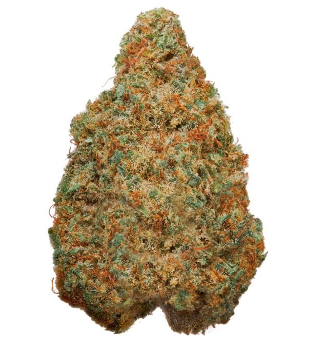 Papaya Dream, Sativa 31.6%