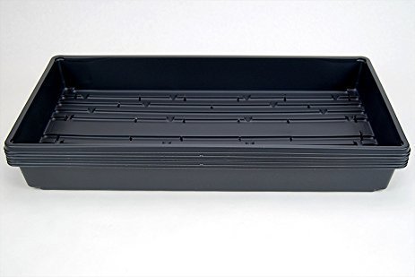 Germination Tray 100ct. - Standard Depth - WITH HOLES - 10x20x2.25"
 ***NOT HD, THESE ARE A TEMP. SD SUBSTITUTE***