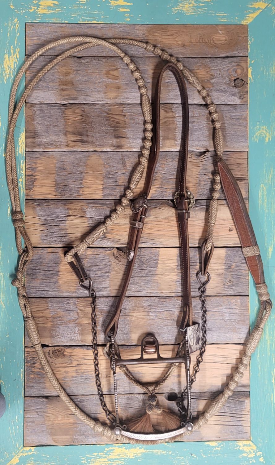 Used Bridle Set Up