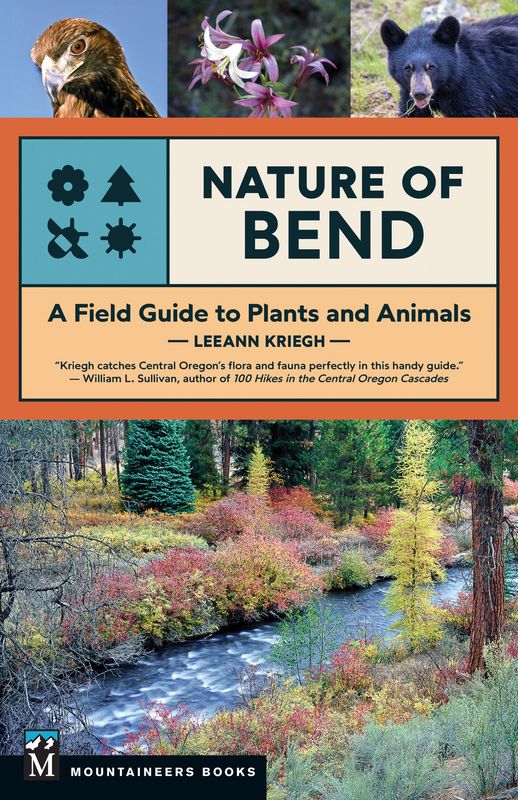 Nature of Bend by Leeann Kriegh