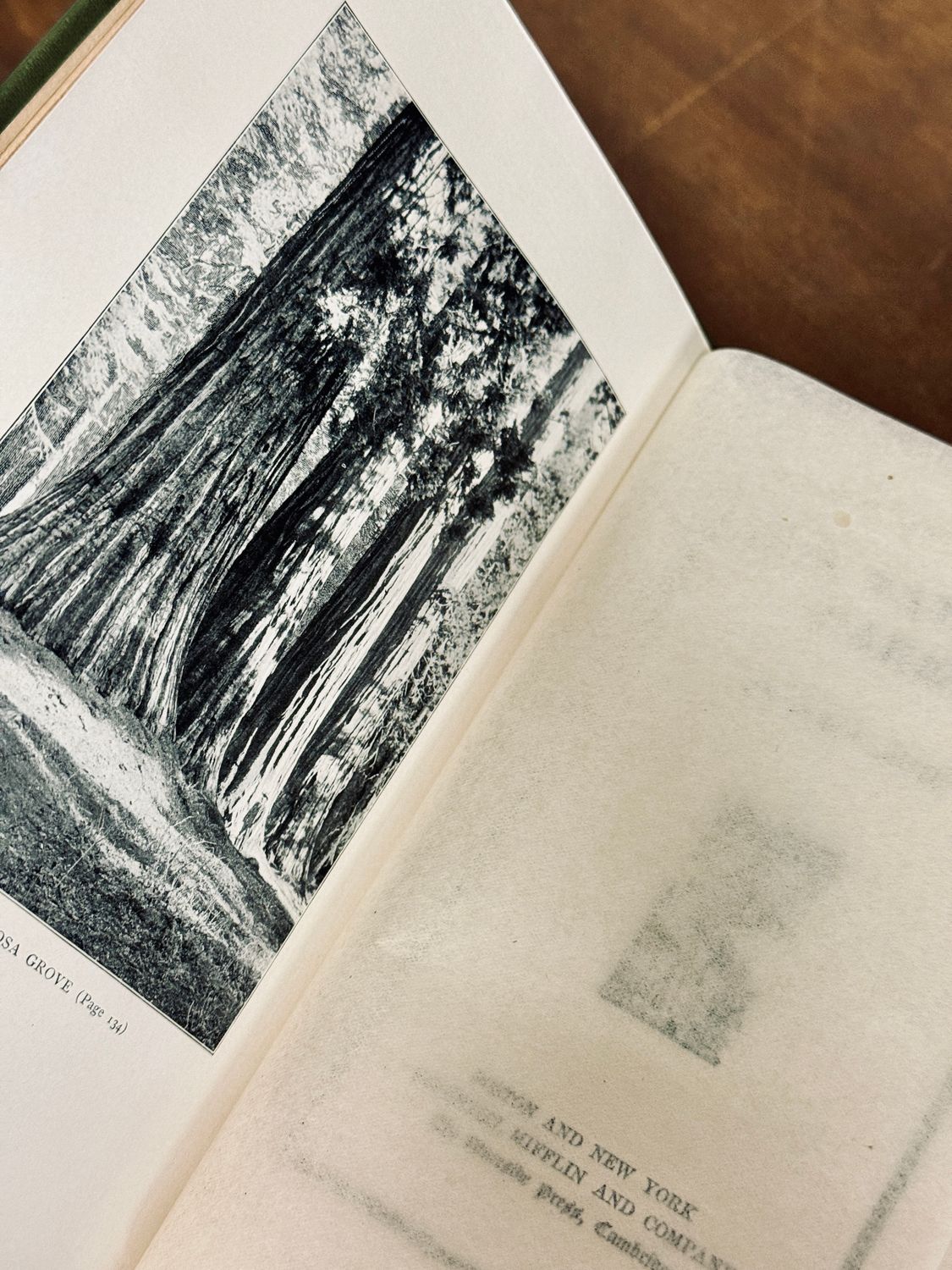 Our National Parks by John Muir (1901 Houghton Mifflin First Edition Hardcover, Presentation Inscription to P. G. Gates, 1908)