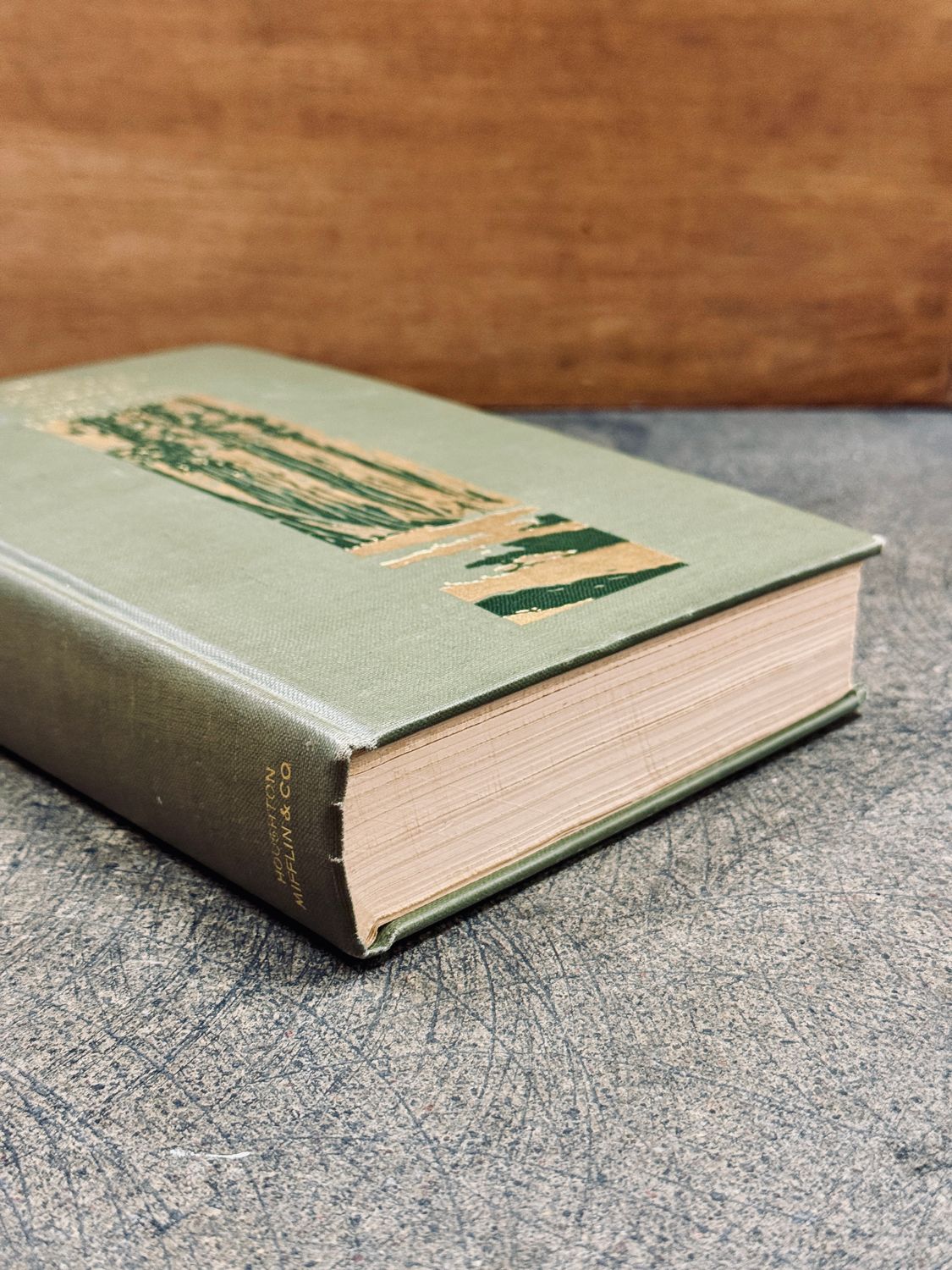 Our National Parks by John Muir (1901 Houghton Mifflin First Edition Hardcover, Presentation Inscription to P. G. Gates, 1908)