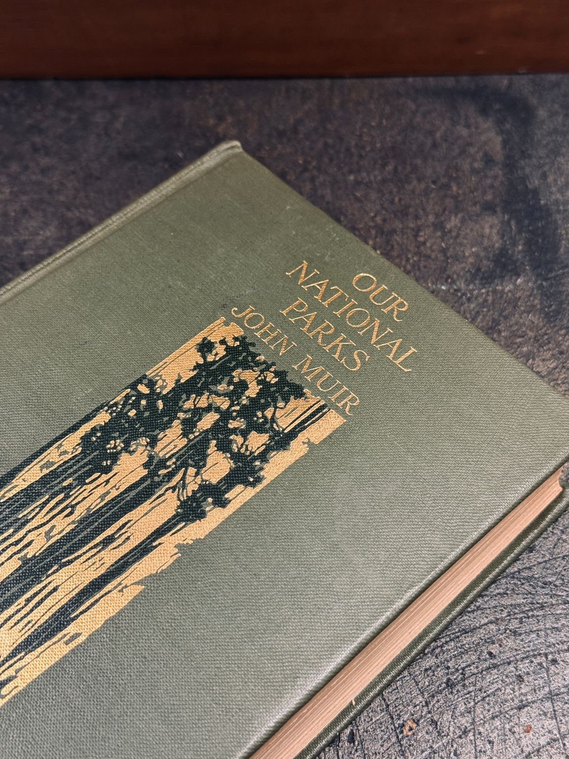 Our National Parks by John Muir (1901 Houghton Mifflin First Edition Hardcover, Presentation Inscription to P. G. Gates, 1908)
