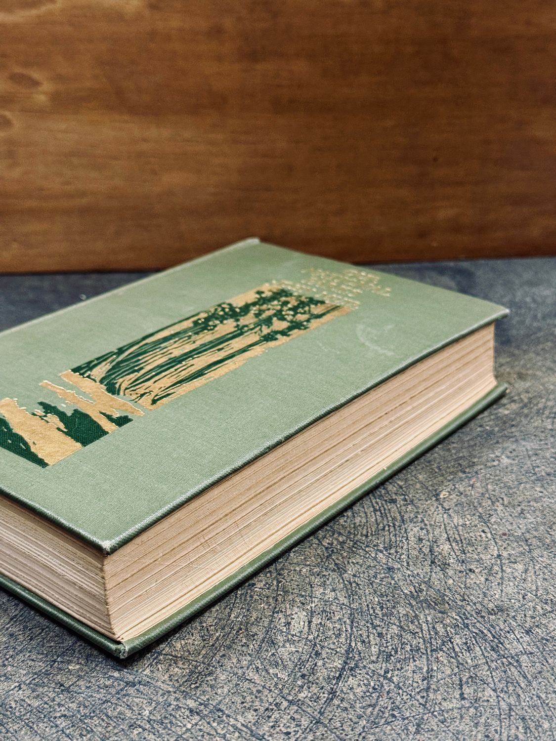 Our National Parks by John Muir (1901 Houghton Mifflin First Edition Hardcover, Presentation Inscription to P. G. Gates, 1908)