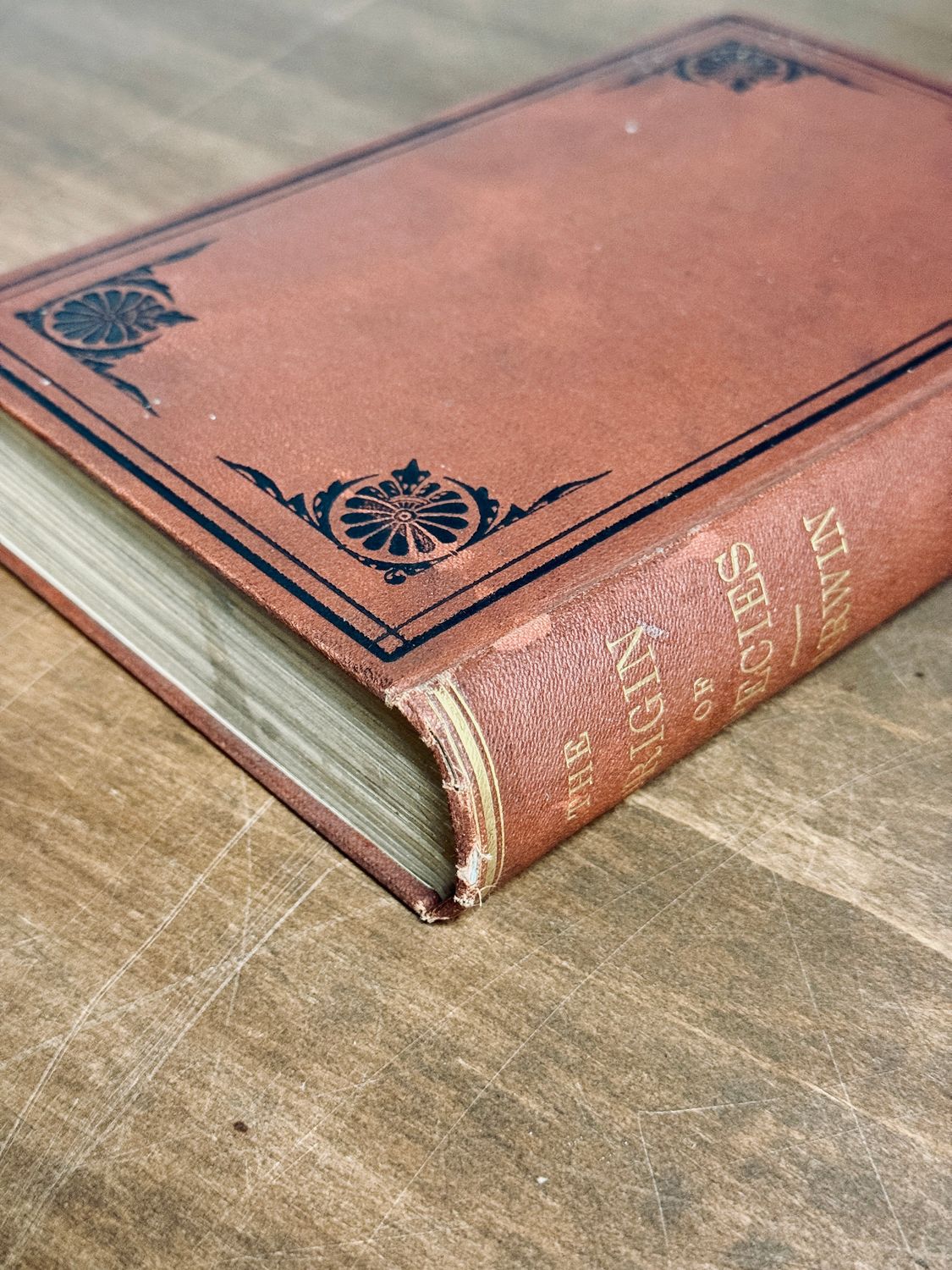 The Origin of Species by Charles Darwin (Sixth English Edition, D. Appleton &amp; Co., 1873)