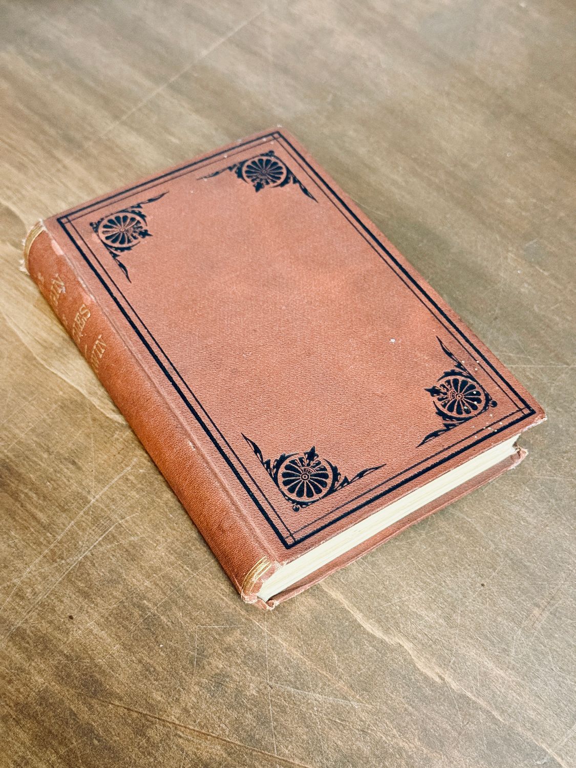 The Origin of Species by Charles Darwin (Sixth English Edition, D. Appleton &amp; Co., 1873)