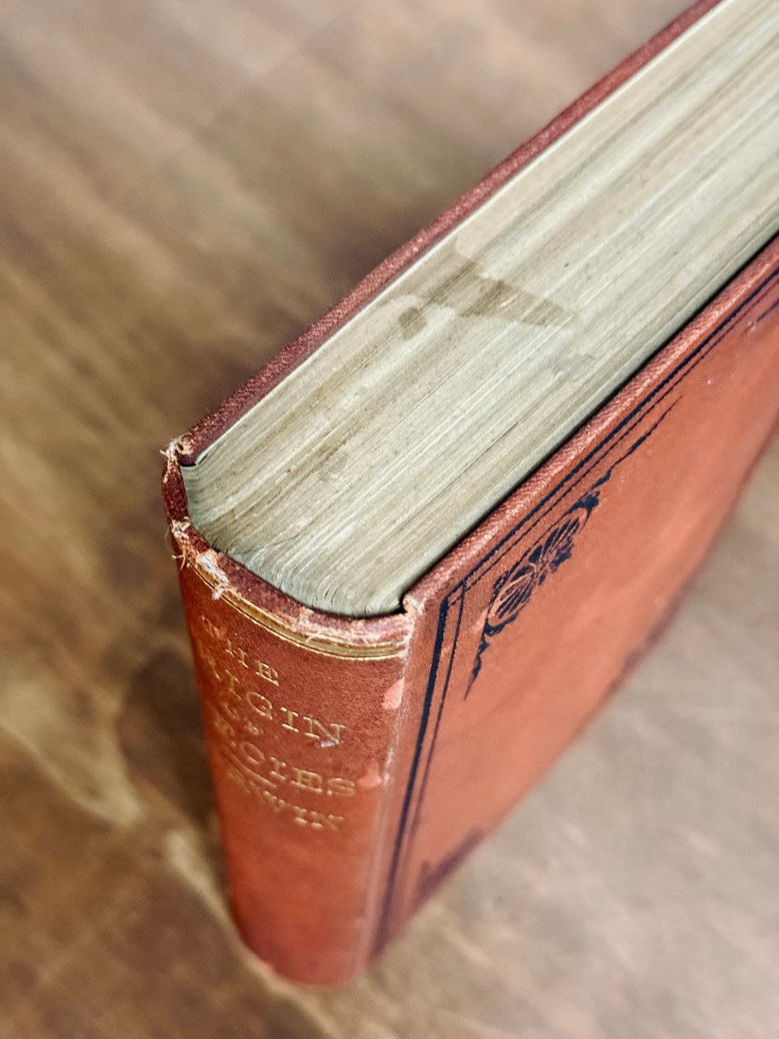 The Origin of Species by Charles Darwin (Sixth English Edition, D. Appleton &amp; Co., 1873)
