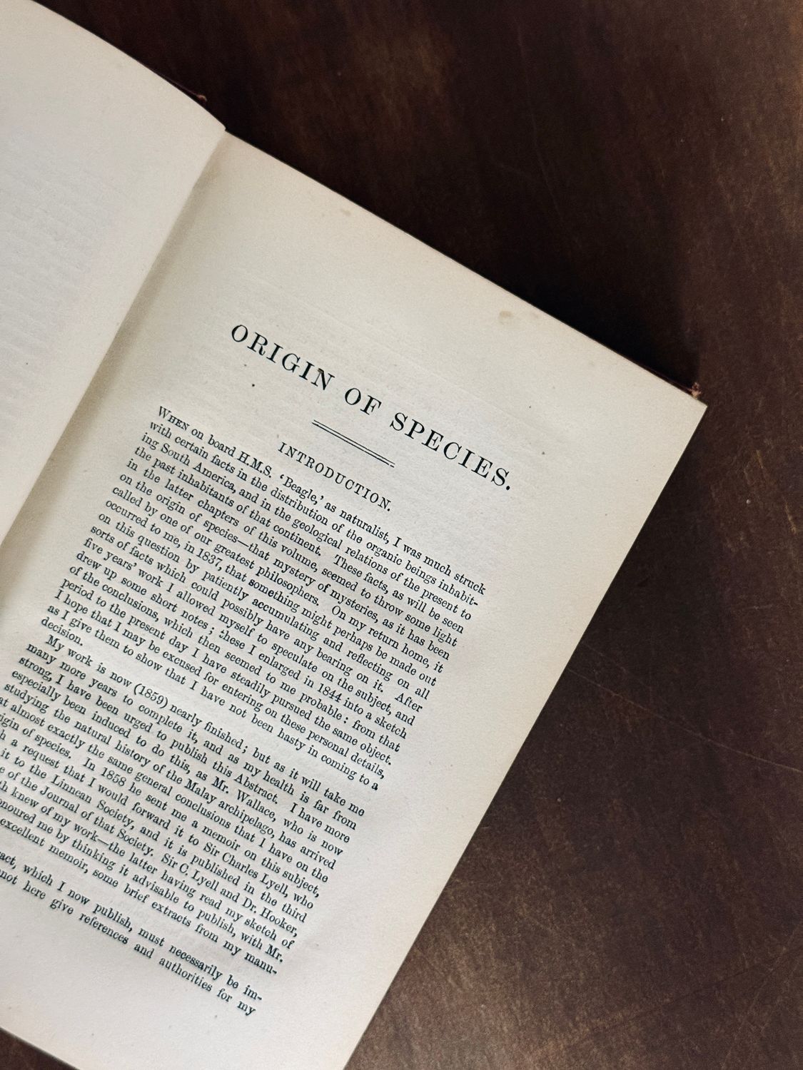 The Origin of Species by Charles Darwin (Sixth English Edition, D. Appleton &amp; Co., 1873)