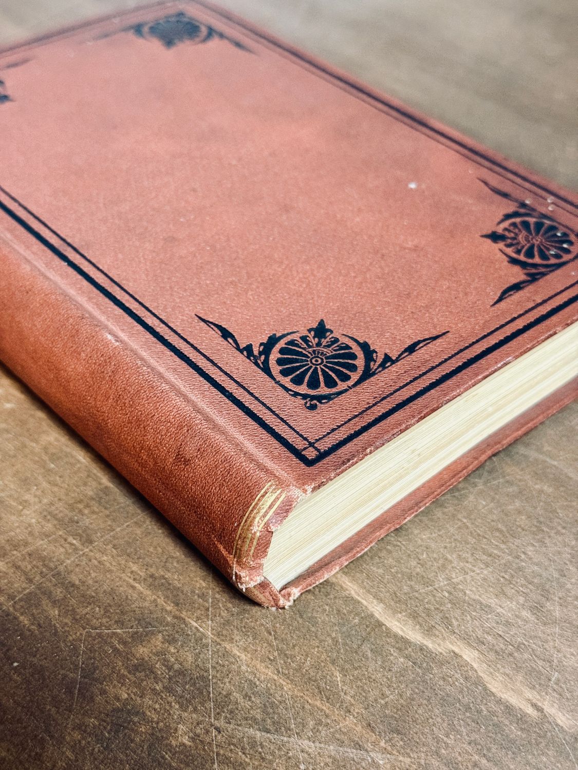 The Origin of Species by Charles Darwin (Sixth English Edition, D. Appleton &amp; Co., 1873)