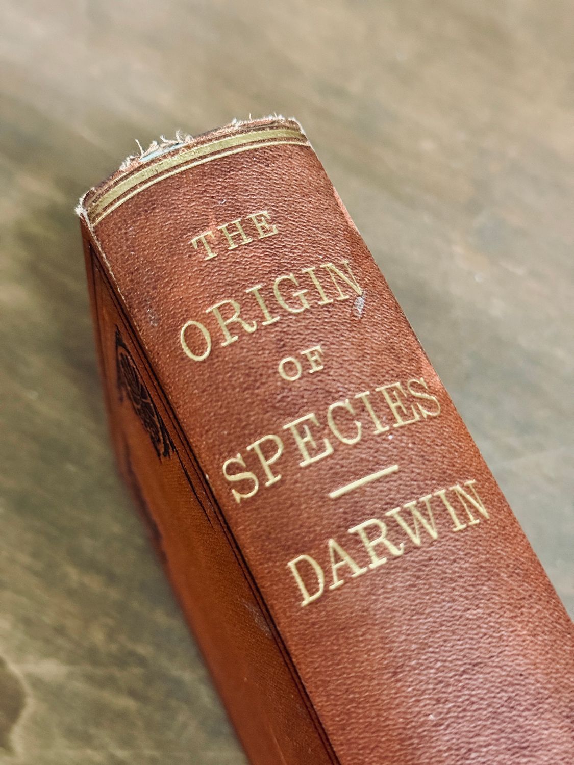 The Origin of Species by Charles Darwin (Sixth English Edition, D. Appleton &amp; Co., 1873)