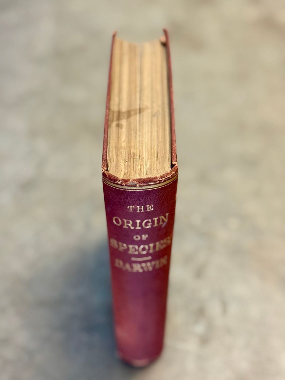 On the Origin of Species by Charles Darwin (1873 Third American Edition)