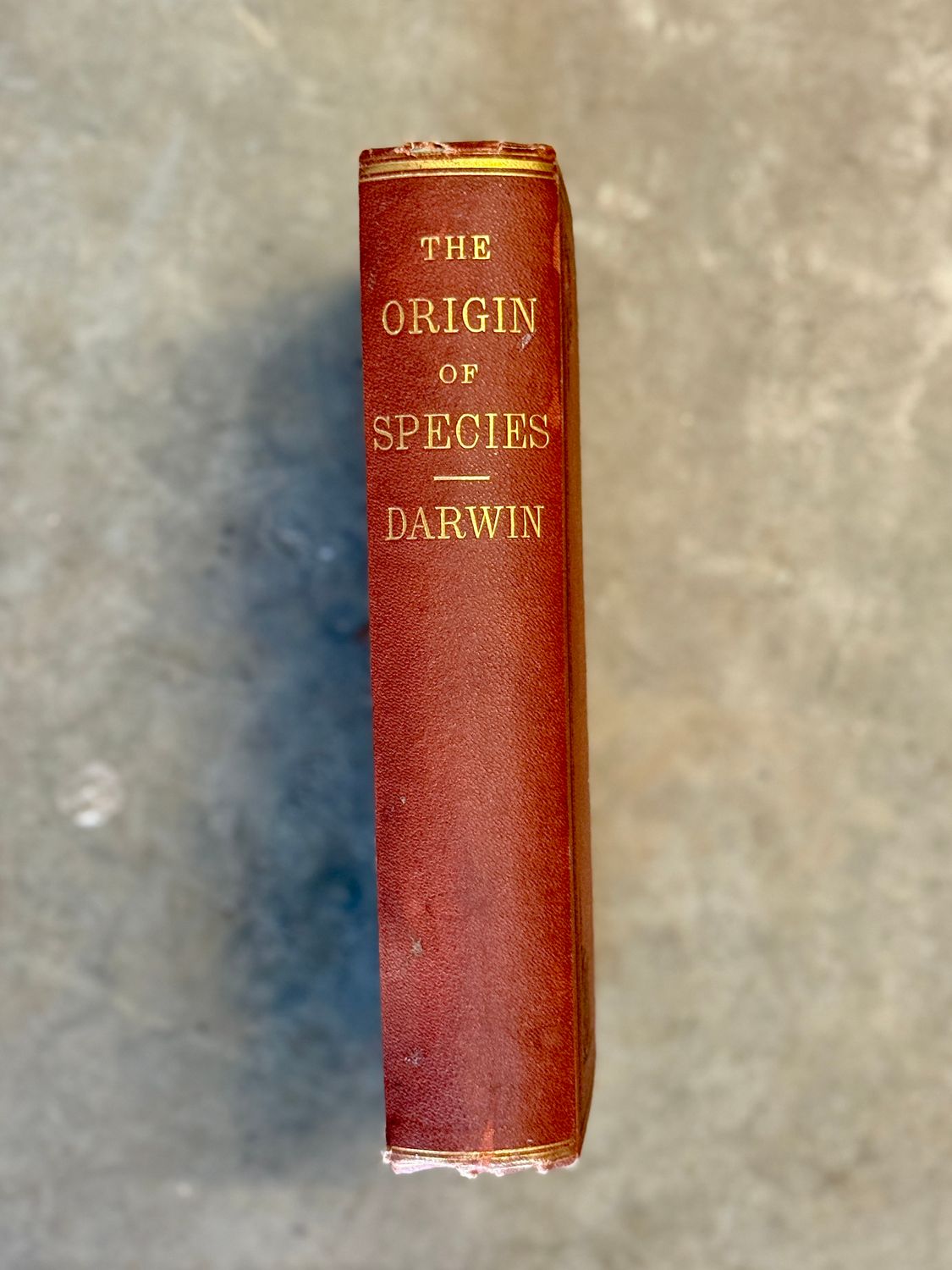 On the Origin of Species by Charles Darwin (1873 Third American Edition)