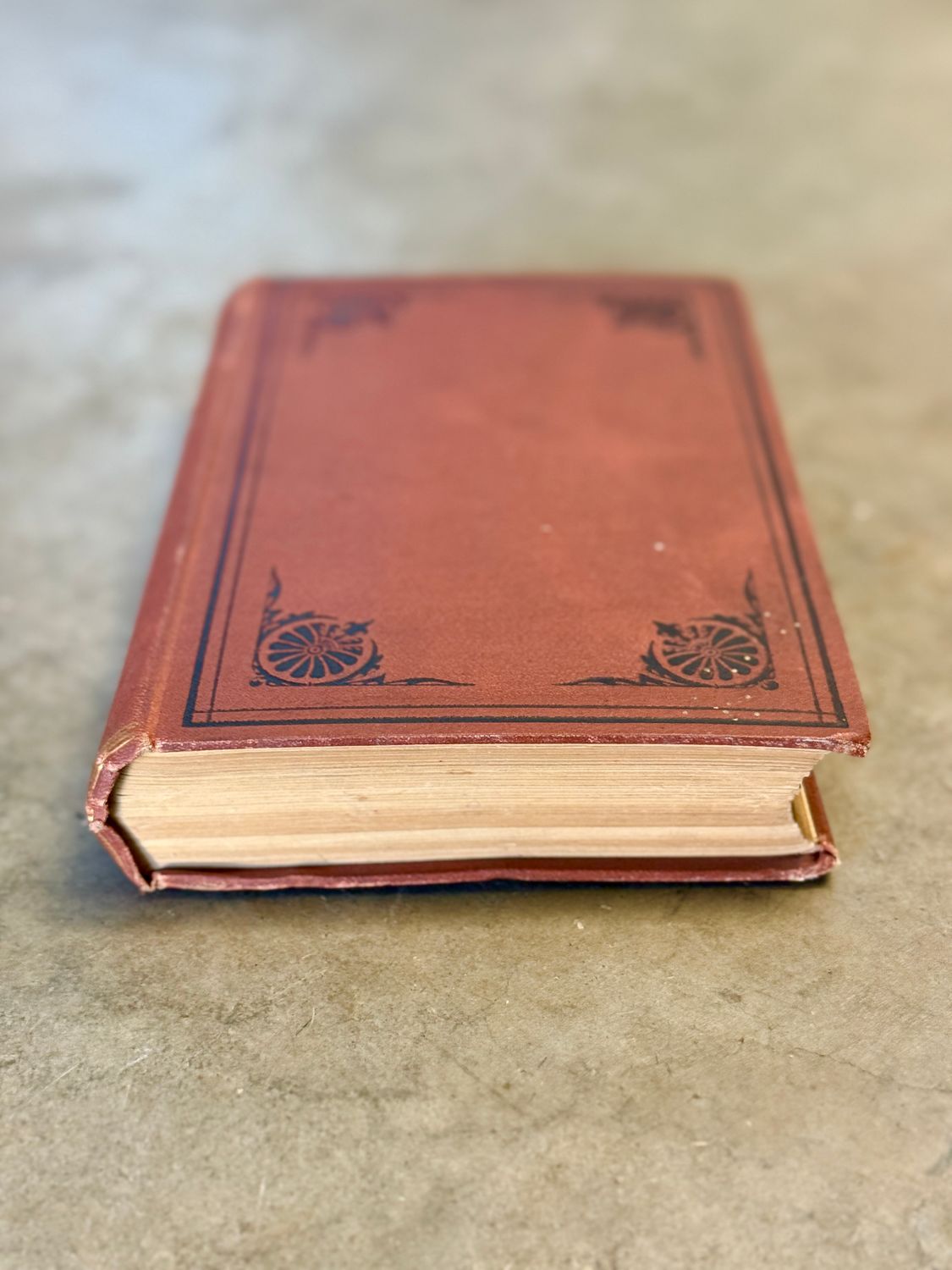 On the Origin of Species by Charles Darwin (1873 Third American Edition)