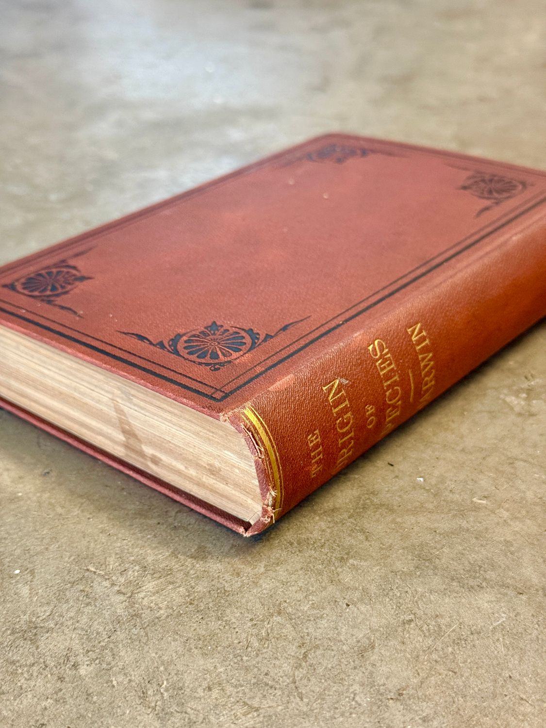 On the Origin of Species by Charles Darwin (1873 Third American Edition)