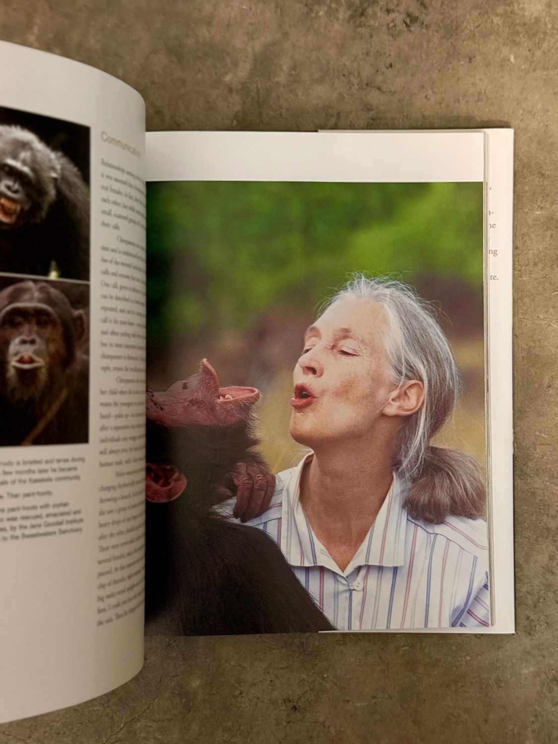 Jane Goodall: 50 Years at Gombe (Signed &amp; Dated 2011 Hardcover)