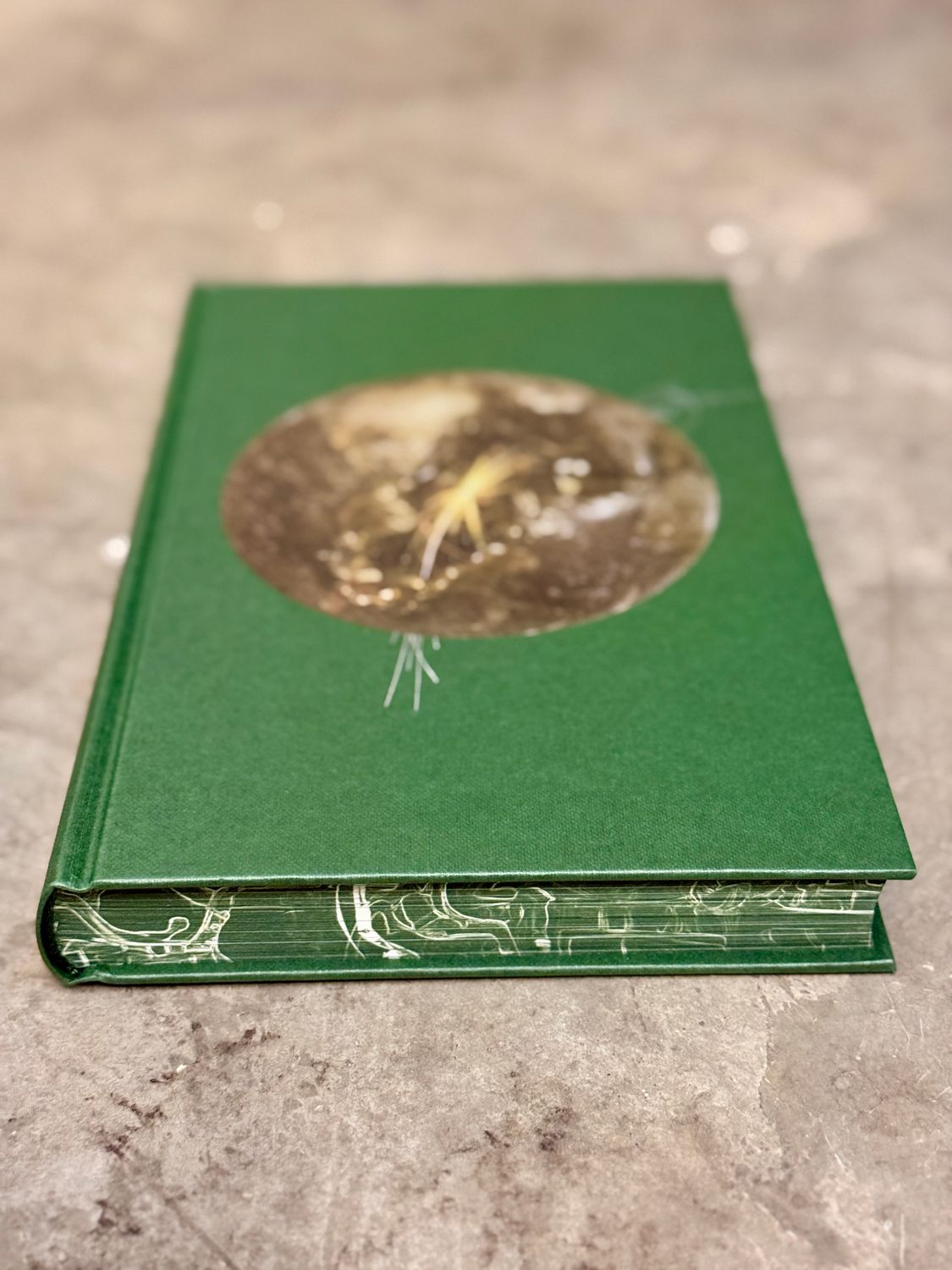 Roadside Picnic by Arkady &amp; Boris Strugatsky (Folio Society Hardcover)