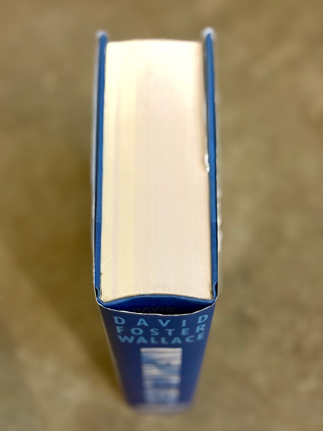 Infinite Jest by David Foster Wallace( First Edition, Second Printing (Little, Brown, 1996)