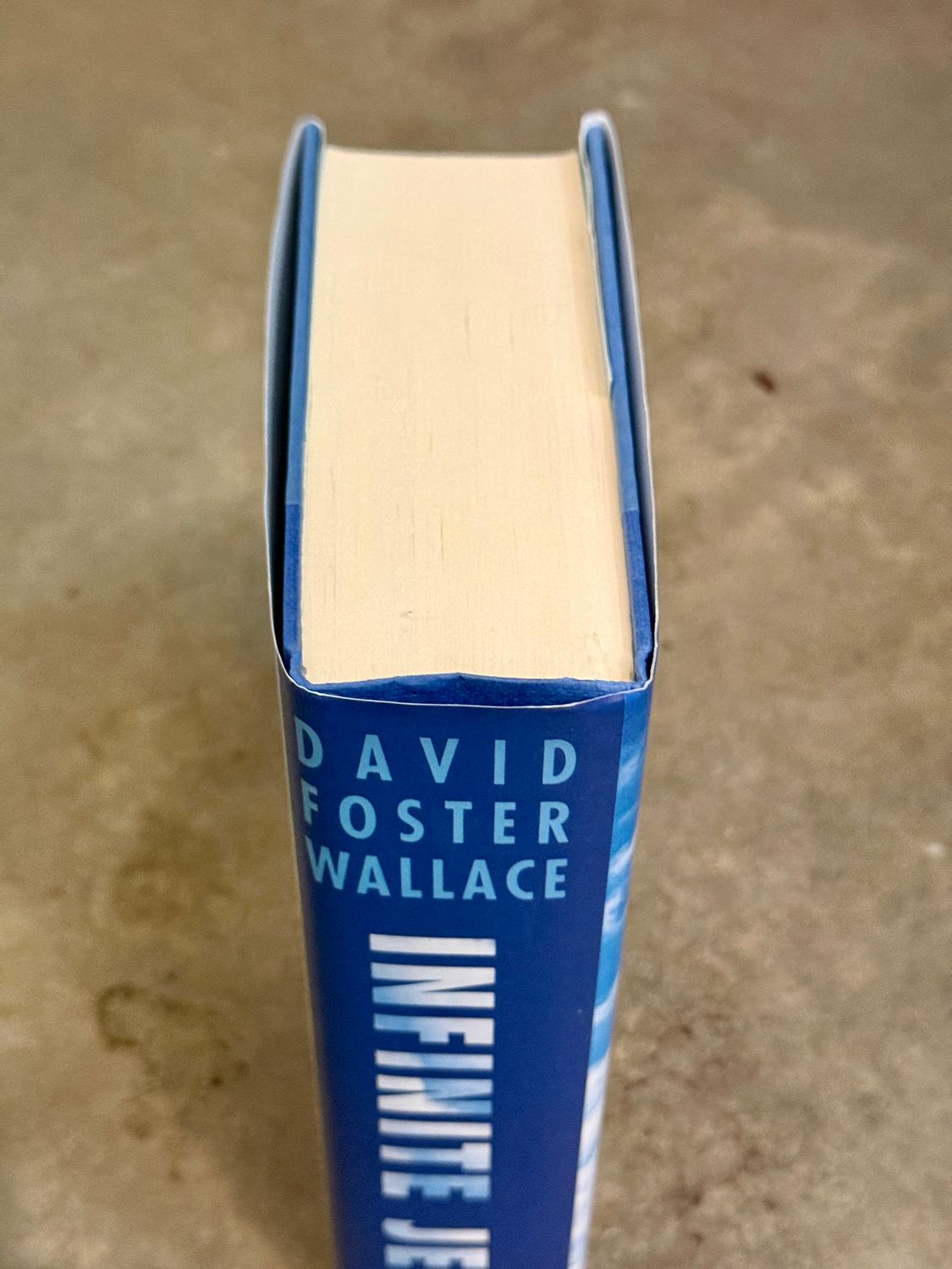 Infinite Jest by David Foster Wallace (First Edition, First Printing, Little, Brown, 1996)