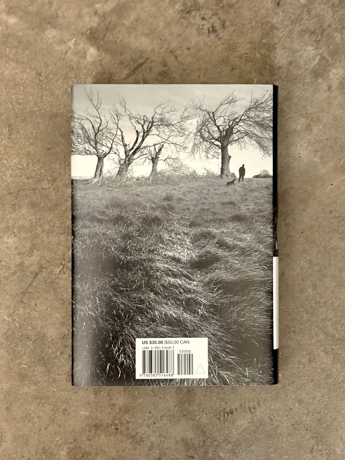 ’Salem’s Lot: Illustrated Edition by Stephen King (First Edition, First Printing)