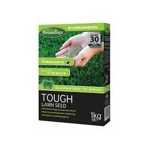 Brunnings Tough Lawn Seed 1kg