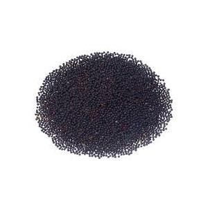 Canola  Seed