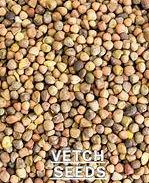 Vetch Seed 25kg
