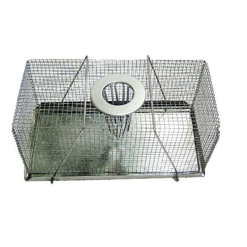 Top Entry Mouse Trap
