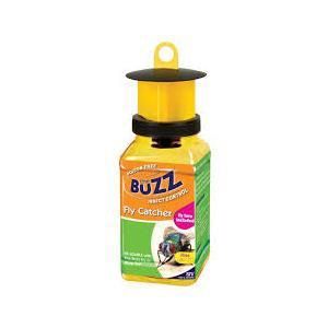 Buzz Fly Catcher